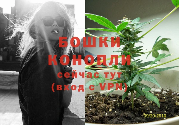 сатива Краснотурьинск
