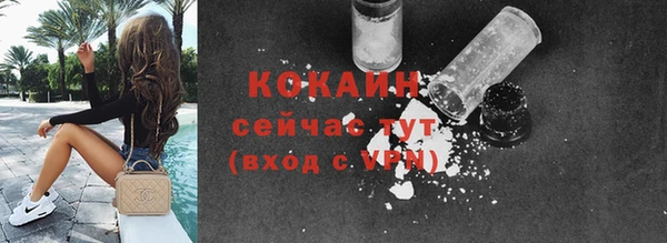 сатива Краснотурьинск