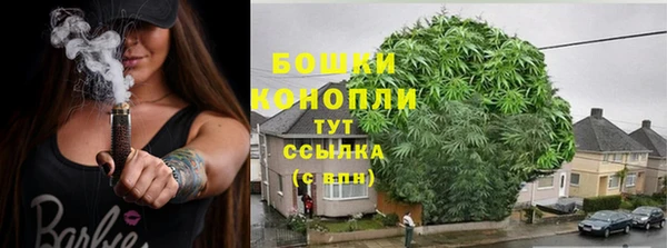 сатива Краснотурьинск