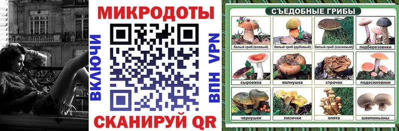 хочу   Сураж  Галлюциногенные грибы Cubensis 