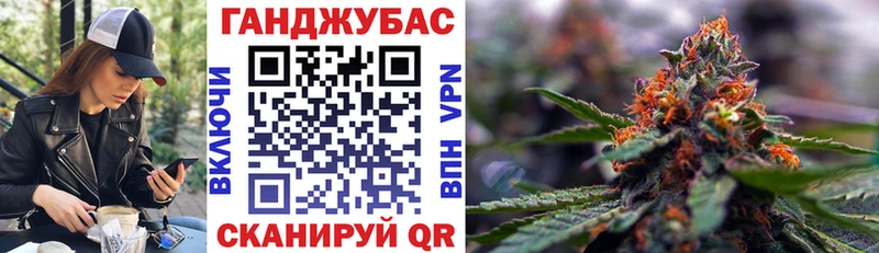 Каннабис ГИДРОПОН  Сураж 